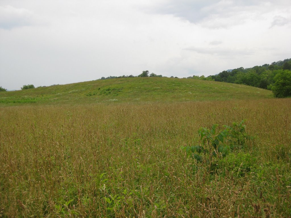 The Cowee Indian Mound, Macon County, North Carolina by DavidLintonWatters