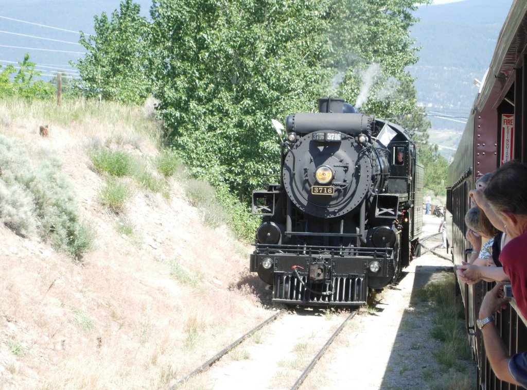 Steam engine changing ends at the Trout River turnaround point by ianc2