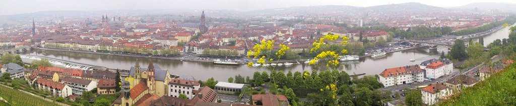 Würzburg Panorama by afcajax