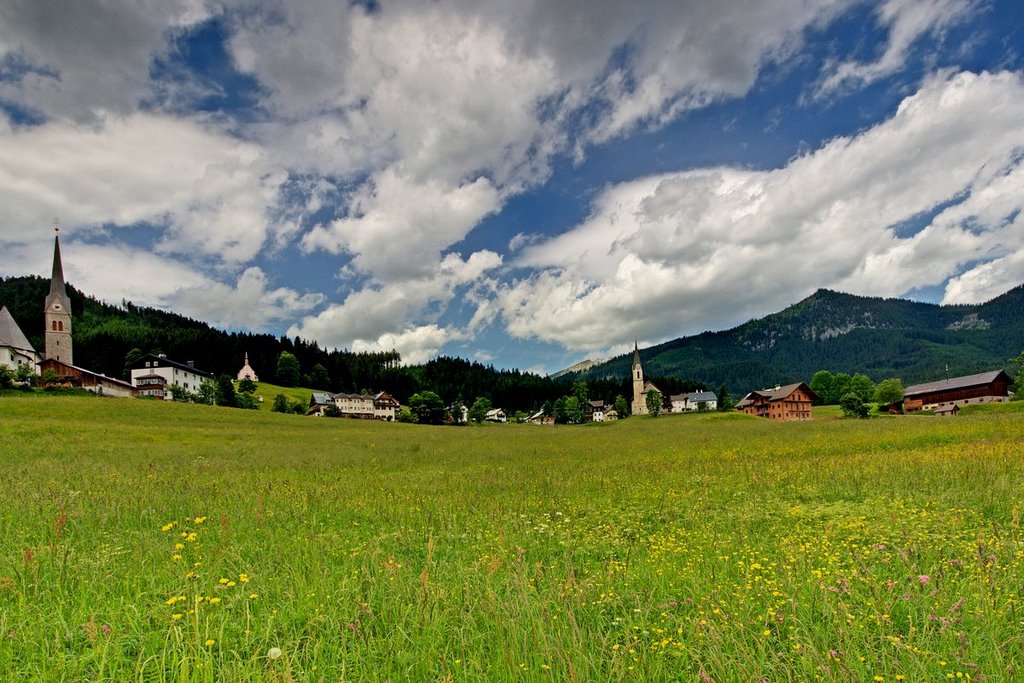 Blumenwiese in Gosau by H.Hartl