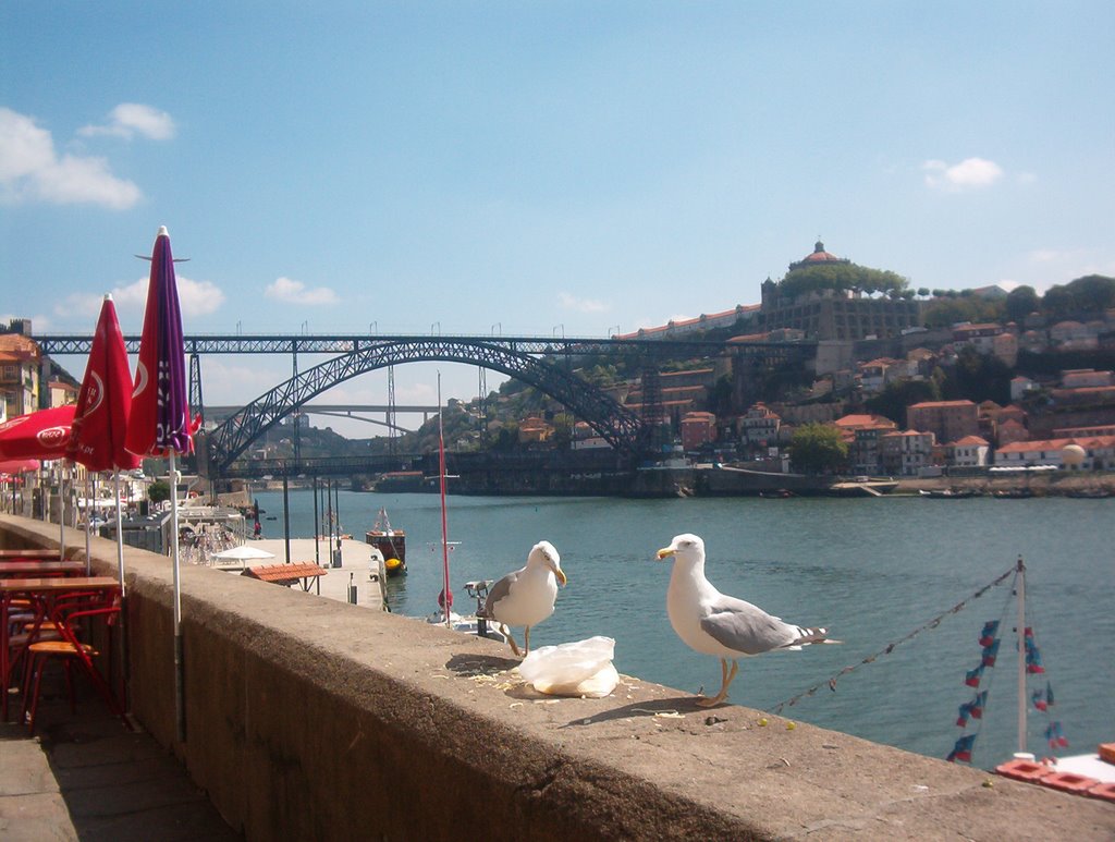 Oporto by raquelrs