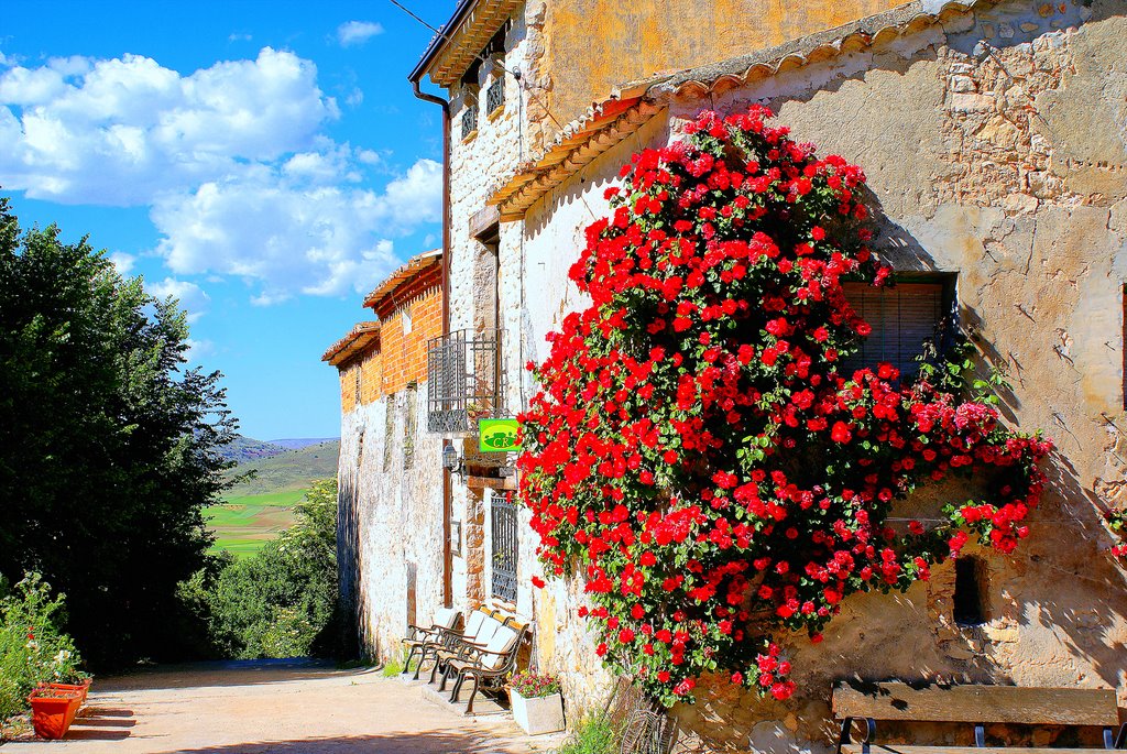 La esquina de las rosas, (Carabias, Gadalajara) by lean56