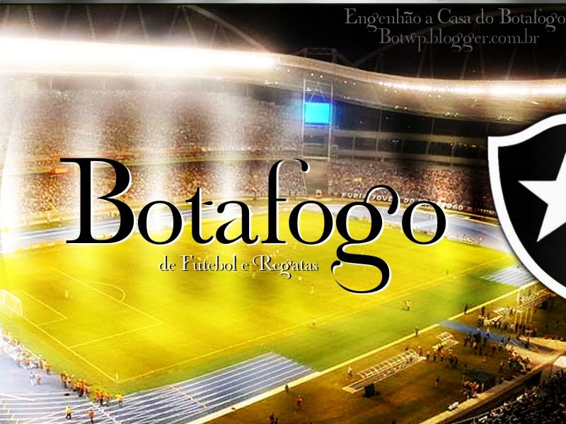 Engenhão o estádio do botafogo by Marcos Viincius Koeb…