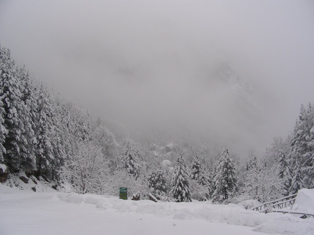 Mt. Olympos - Prionia by naoumakis1