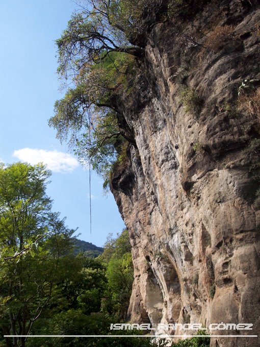 NATURALEZA DE MALINALCO, ESTADO DE MÉXICO by Ismael Rangel Gómez