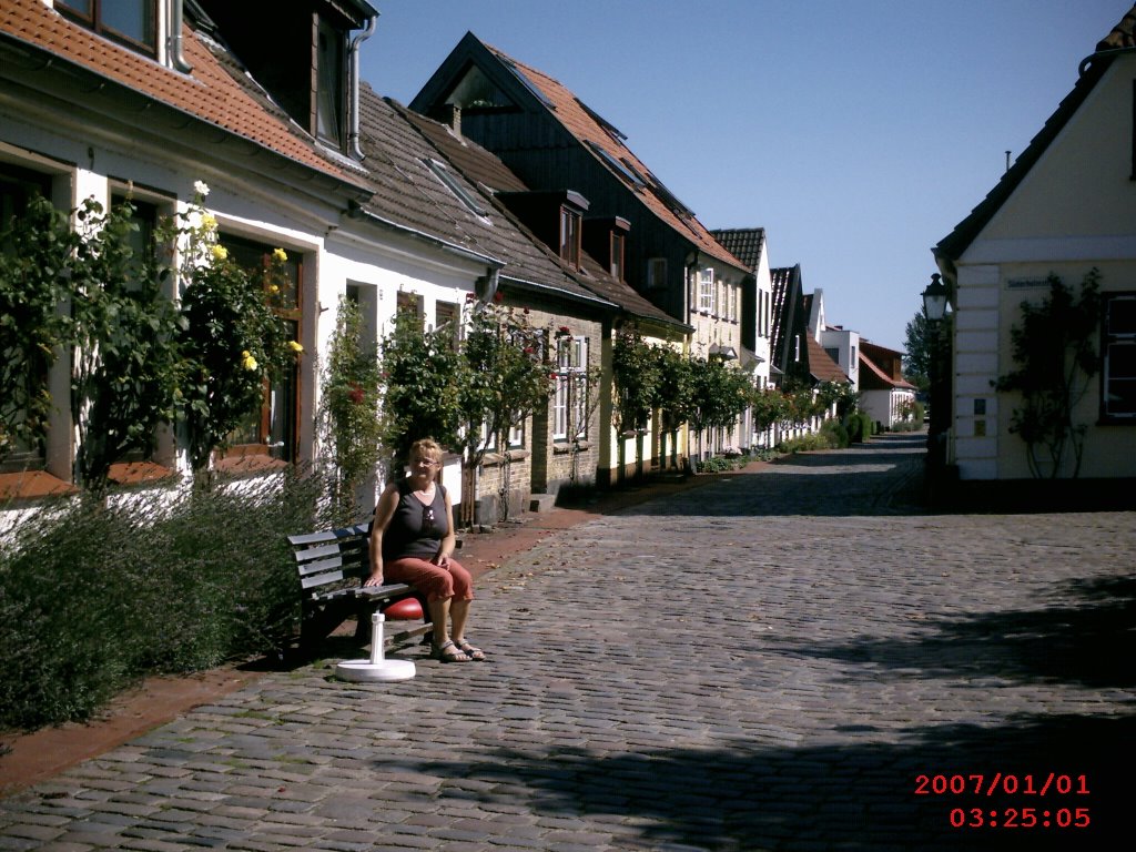 Schleswig...schlei...altstadt...holm by f.h ehrenberger germany