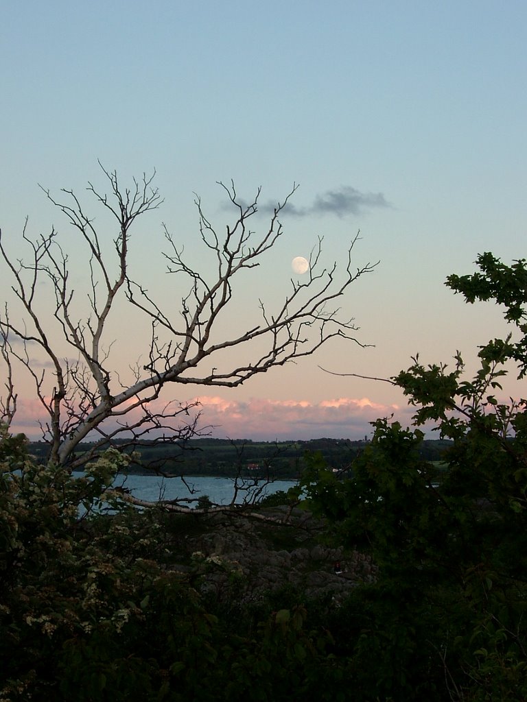 Evening in Bornholm by Marejka