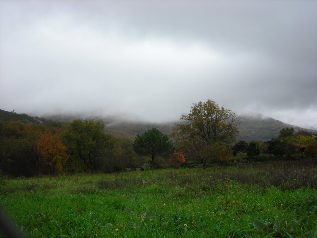 Jarandilla , con ese otoño en canal que embellece de sobremanera la naturaleza. Noviembre de 2006 by viajeroandaluz