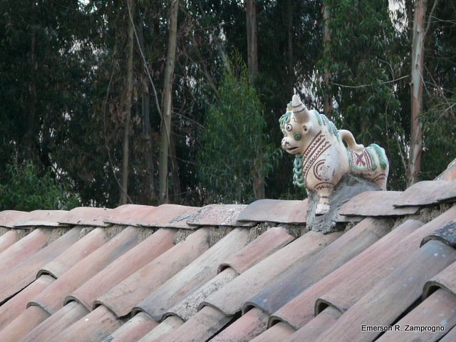 Todas as casas em Cusco tem esta proteção no telhado... / ezamprogno by Emerson R. Zamprogno