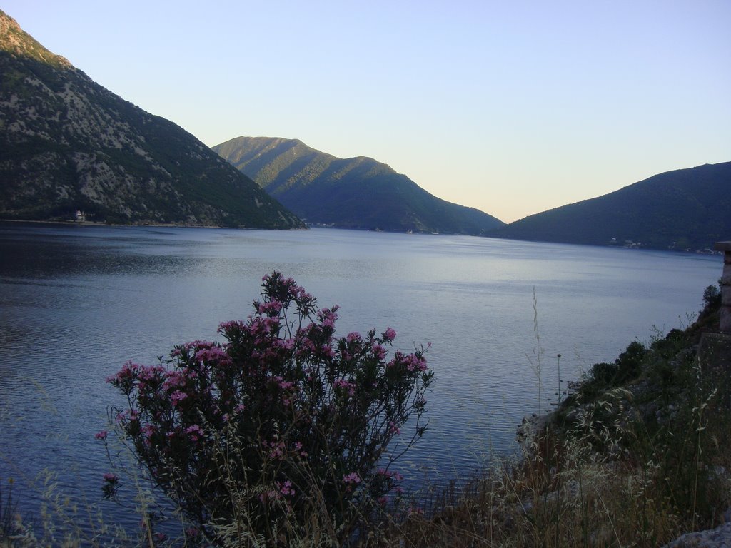 Kotor, Montenegro by ines lukic