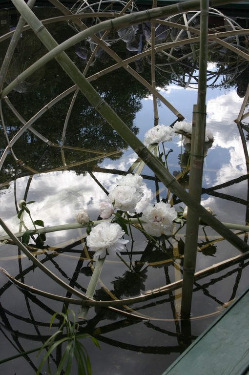 Aptekarskiy Ogorod (Botanical garden MSU). Reflection. June 2005. — Аптекарский огород (Ботанический сад МГУ). Отражение. Июнь 2005. by Roman Sobolenko