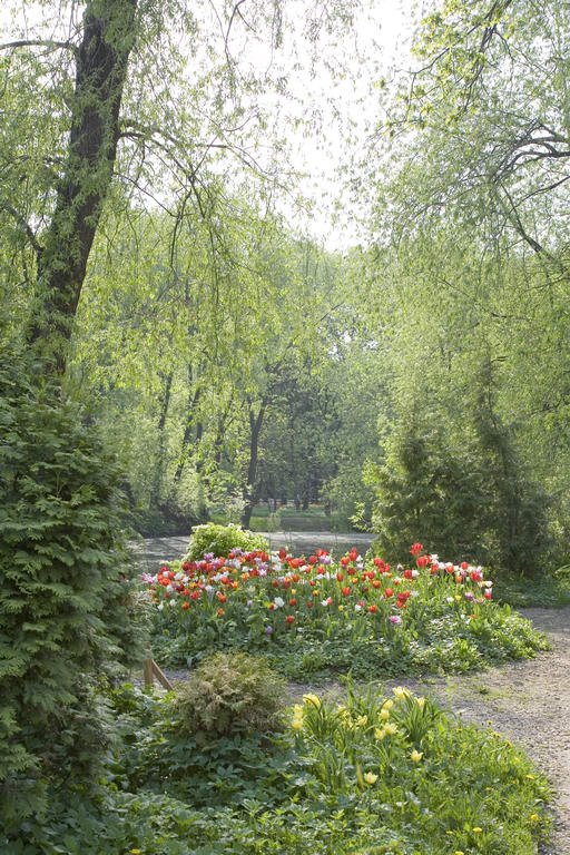 Aptekarskiy Ogorod (Botanical garden MSU). Tulips. May 2007. — Аптекарский огород (Ботанический сад МГУ). Тюльпаны. Май 2007. by Roman Sobolenko