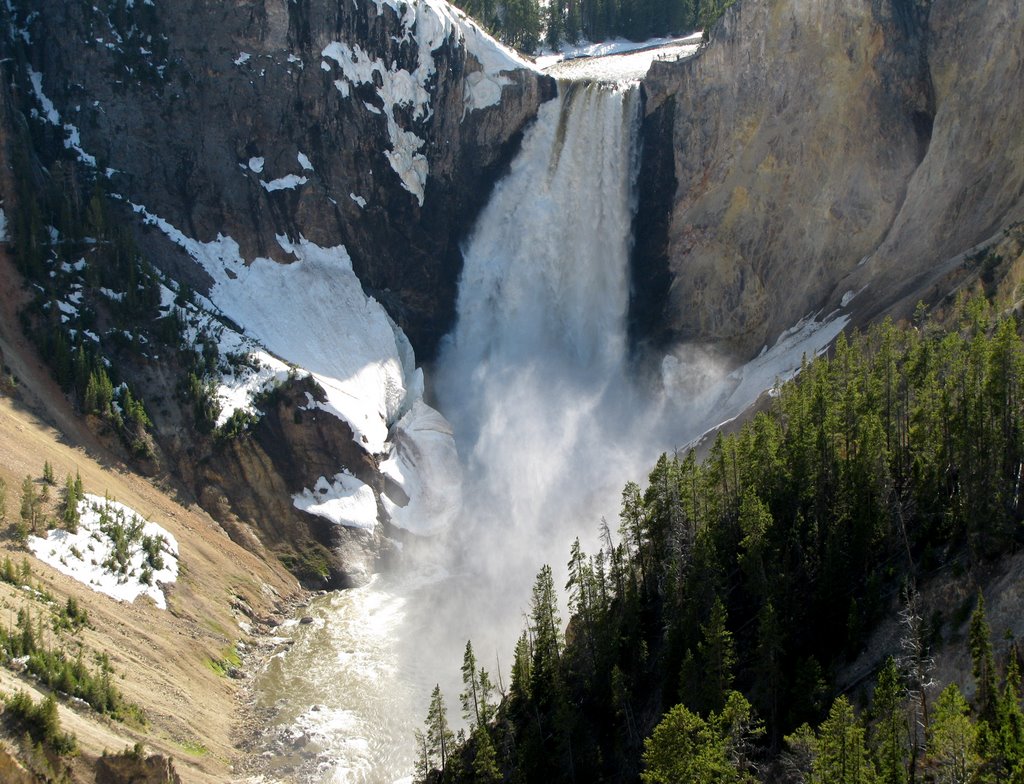 Lower Falls - Yellowstone River, Yellowstone National Park, WY, USA. by André Bonacin