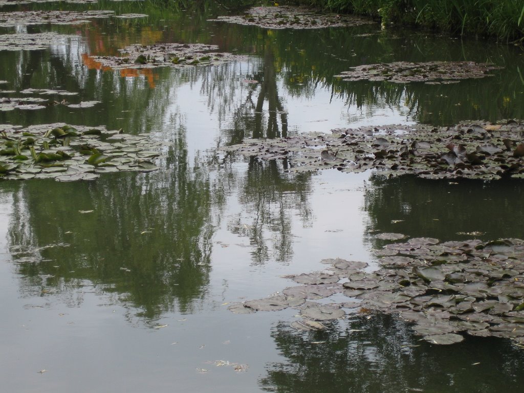 Etang Giverny by Dabido