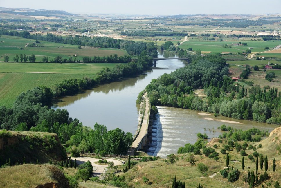 Toro - Puente Romano by manteconan