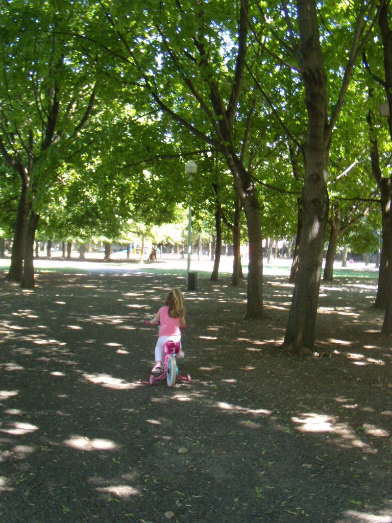 Ballade en vélo sous les arbres à l'abri du soleil by fred banchet