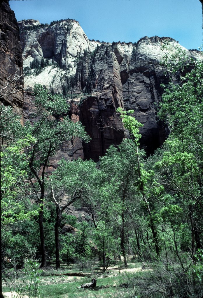 Temple of Sinawava, Zion NP, June 1983 by Bill McKinney