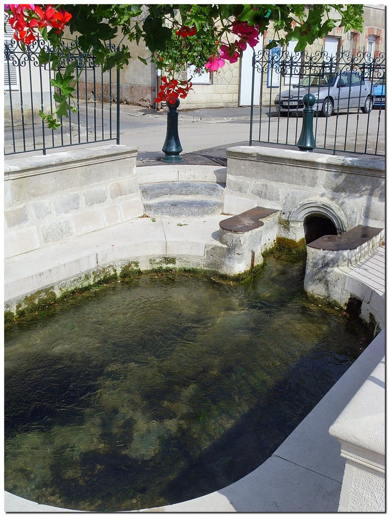 Vertus (Marne, France) - La grande fontaine by François Collard