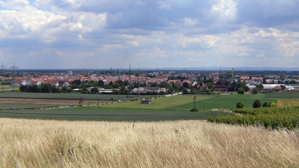 Flörsheim Neubausiedlung by theflyingguitar