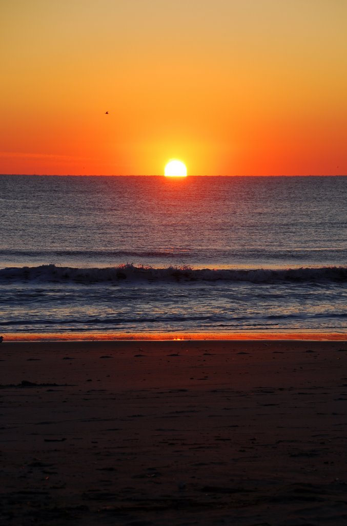 Manasquan, NJ, USA by tlozinski