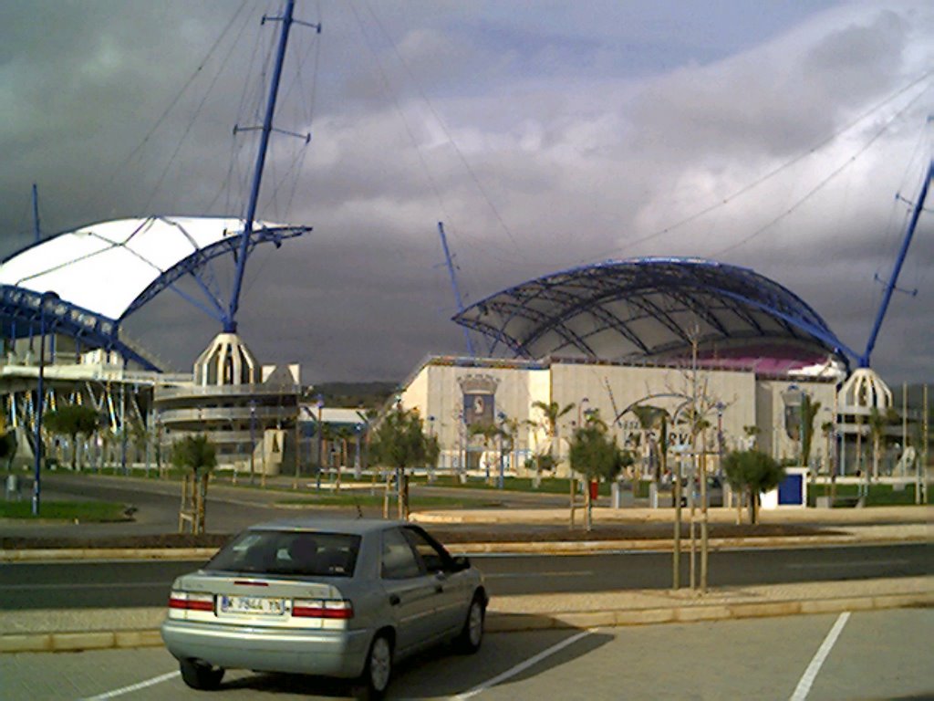 Faro (stadium Algarve)- Portugal by ismael c g