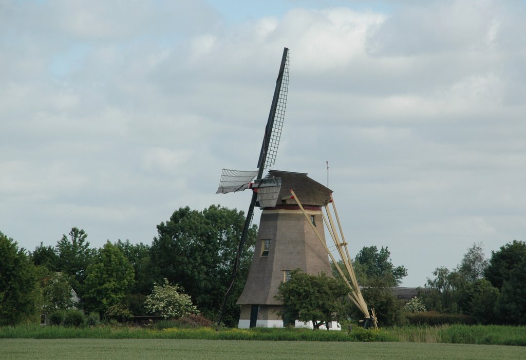 Zuid-Hollandse molen bij Hank by René Speur