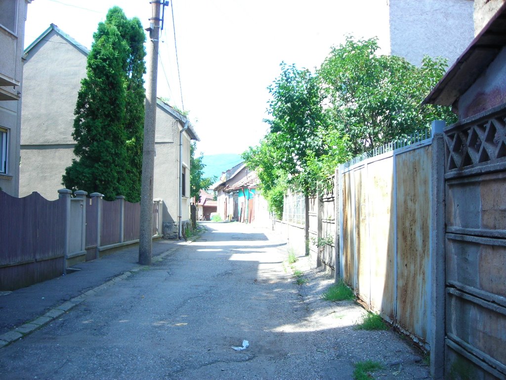 Calle de Baia Mare, durante mi Tercer Viaje a Rumania. Agosto de 2006 by viajeroandaluz