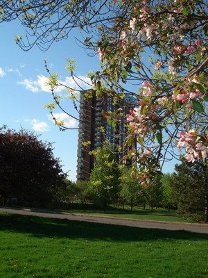 Jacques-Cartier Park by Egor Abma