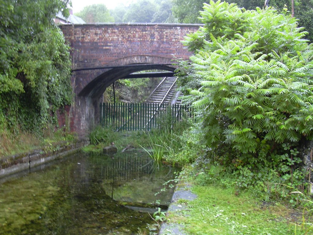 The Hay Inclined Plane by paul dodd