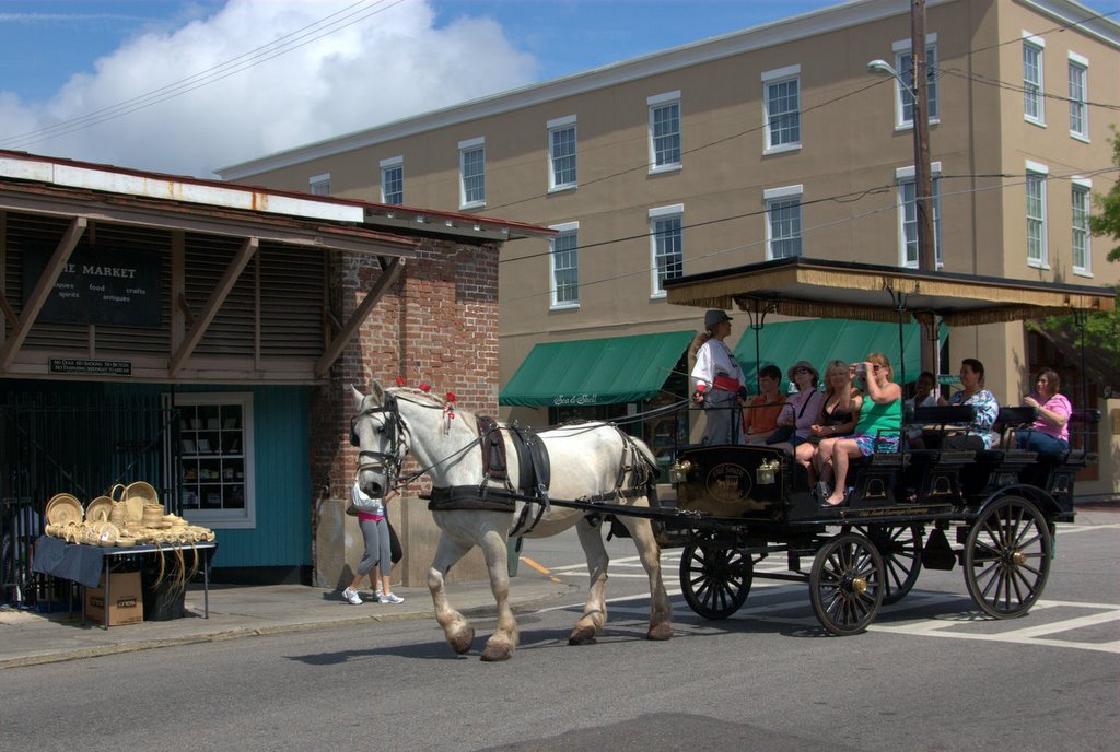 Tour by horse-drawn carriage by Charlie Houder