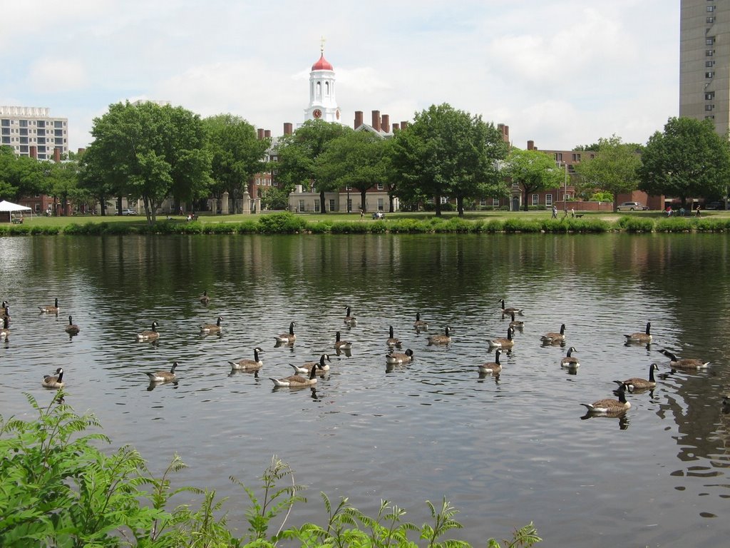 Charles River and Dunster House, Harvard, Cambridge, MA by GregFW