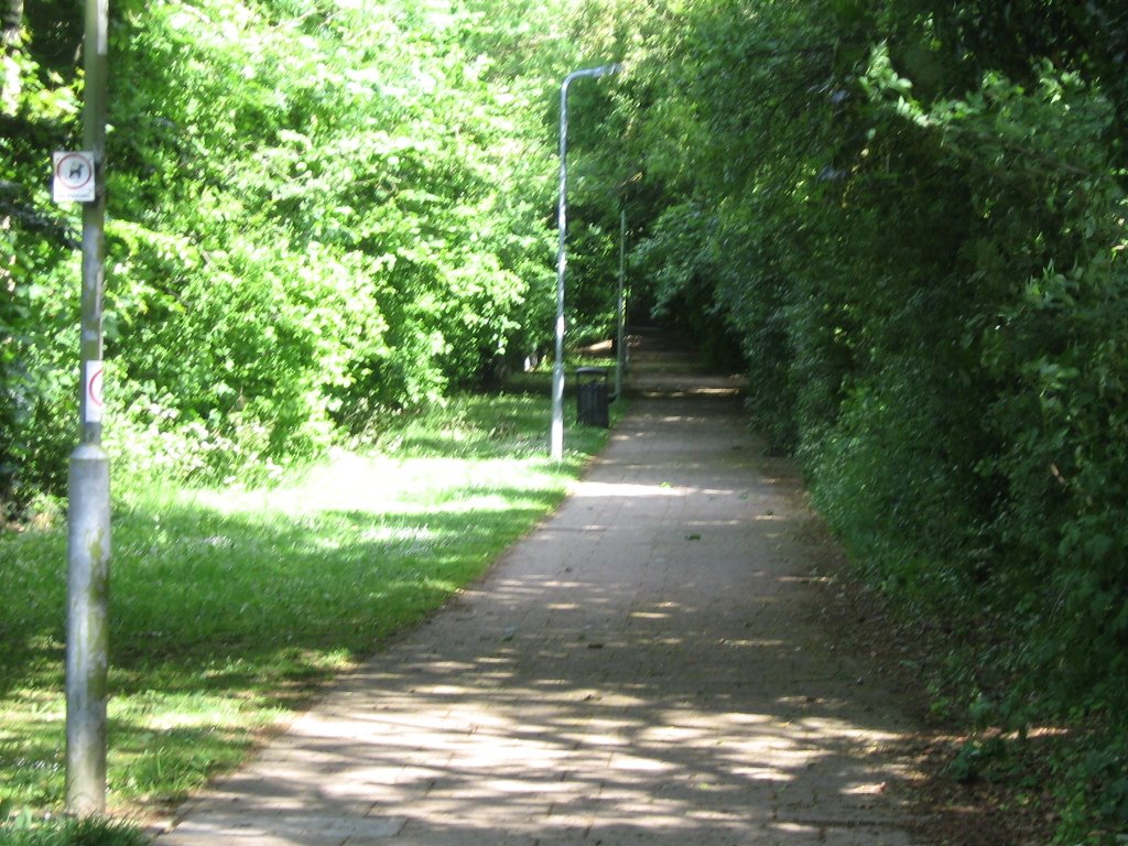 The widest patio footpath leads up towards the silvery side post by Robert'sGoogleEarthPictures