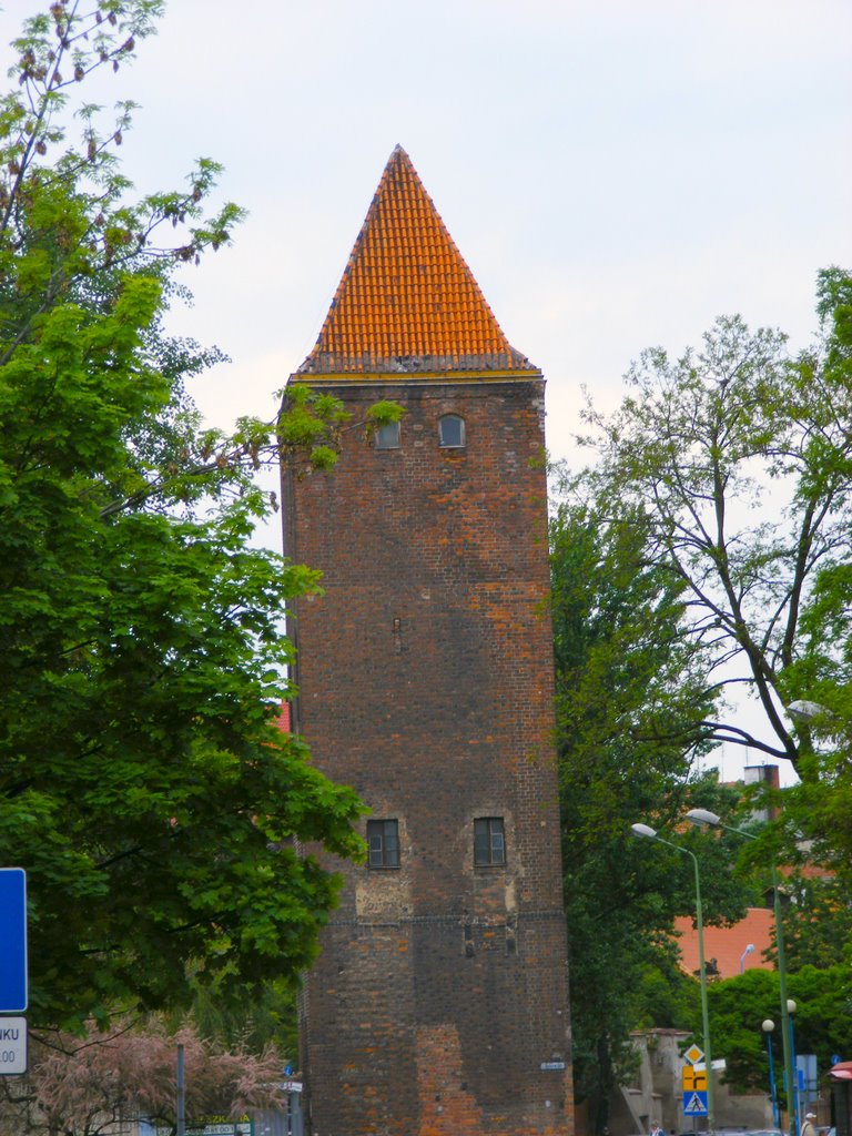 Legnica -Baszta-przy ul. Chojnowskiej by Andrzej Brudziński