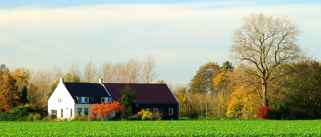 Hoeve onverwacht in de Hikkepolder by M.J.Boluijt