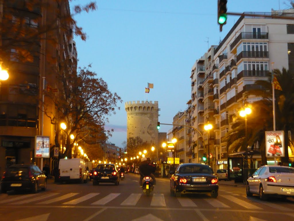 Valencia at night by Horia Nilescu