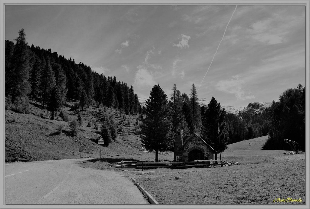 Tesero TN - Alpe di Pampeago by © √ paola chiarella