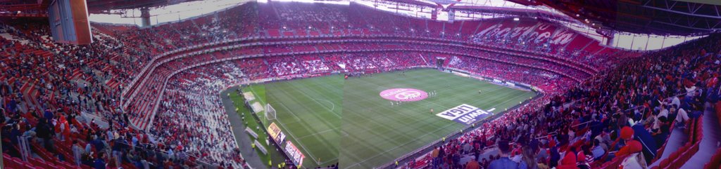 Estádio da Luz - Benfica 2, Académica 0 by João Pimentel Ferrei…