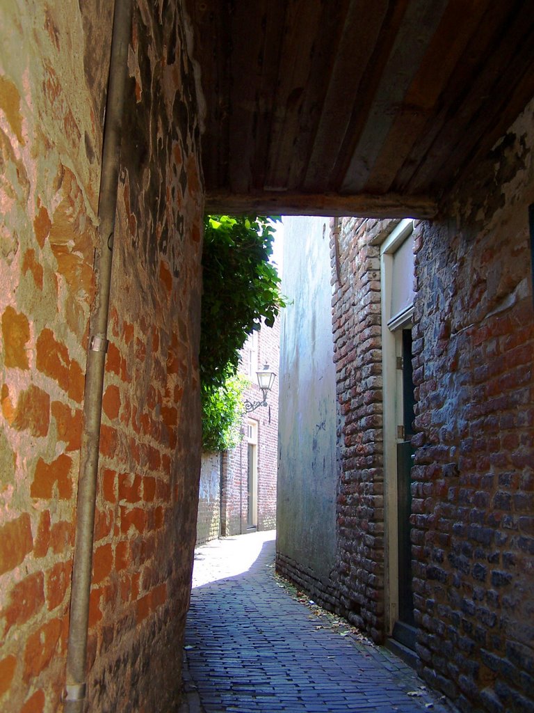 Gangetje naar de Mazijk in Wijk by Geerten