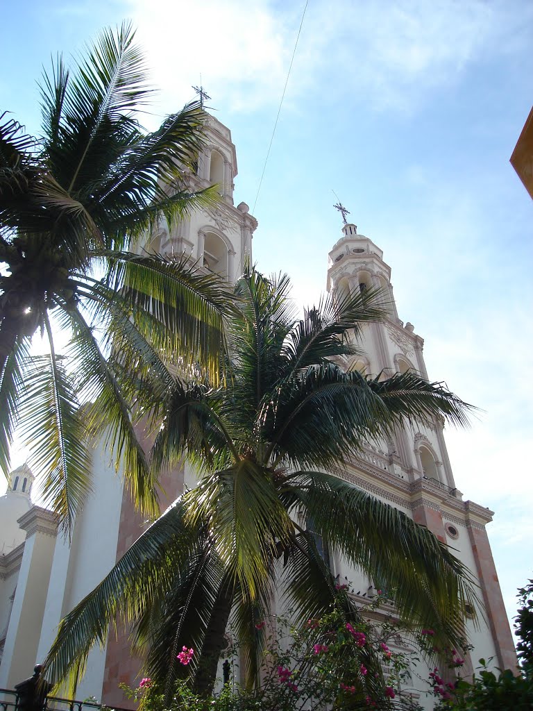 Catedral by Luis Pompa