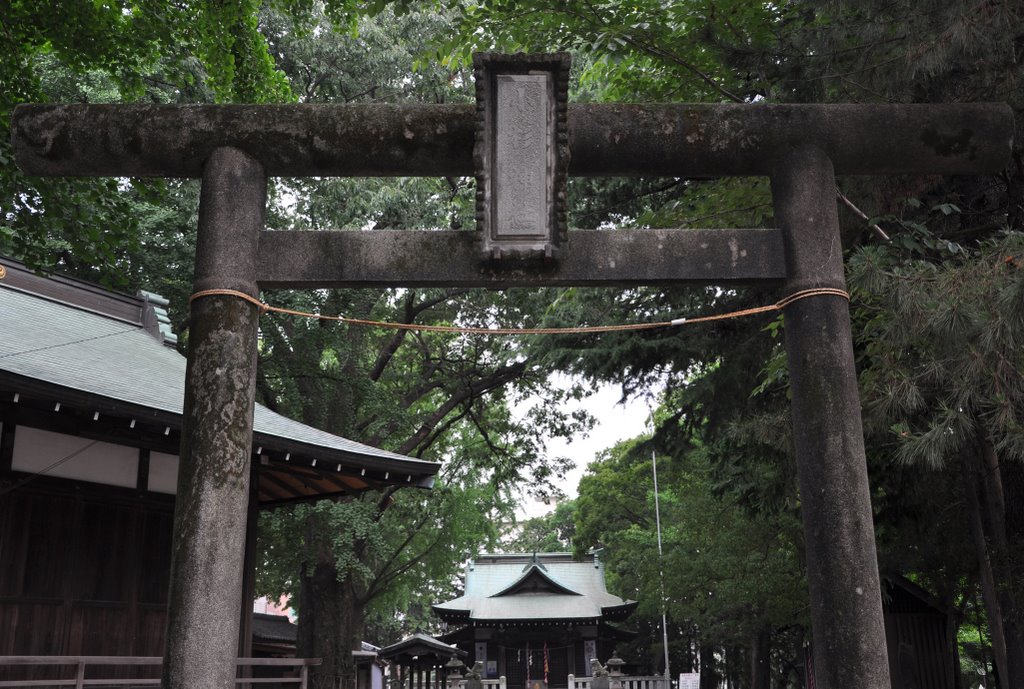 小杉神社 by roaring40s