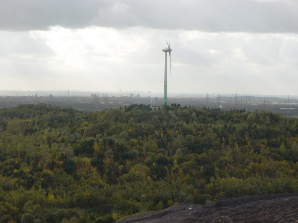 Blick auf Hoppenbruchhalde by Daniel Kuhr