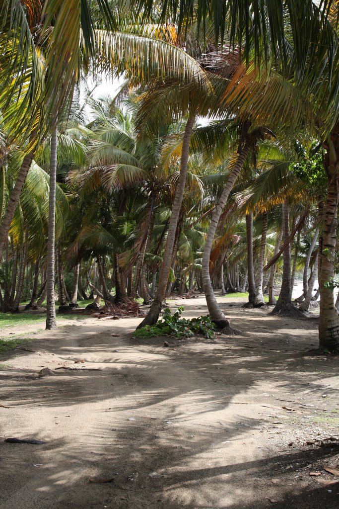 Playa Punta Santiago by Ricardo David Jusino