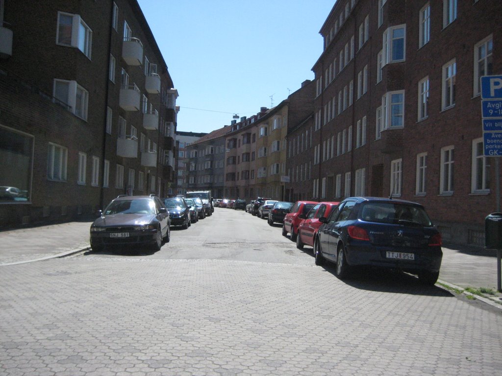 Vårgatan by Eddie Svärd