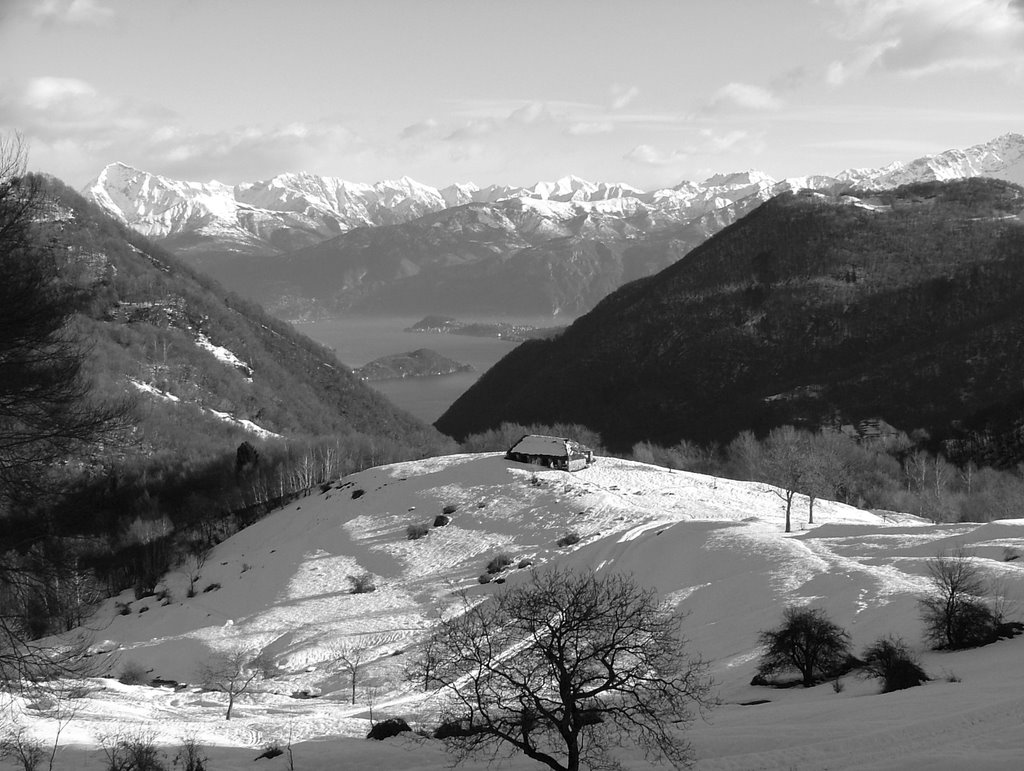 Pian d'Alpe by Lanfranconi Gilberto