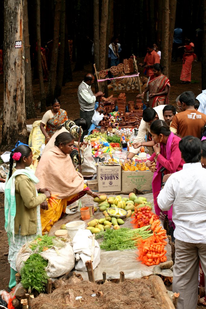 Kodaikanal, Tamil Nadu 624101, India by Abdul Manaf