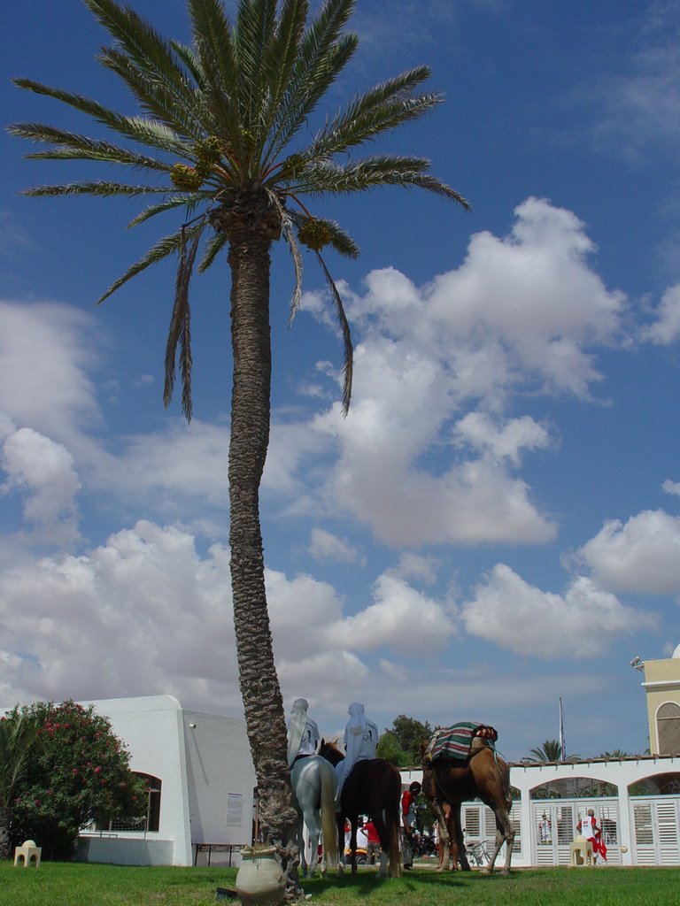 Djerba-la-douce. Анімація... by Andrey Sokolovsky