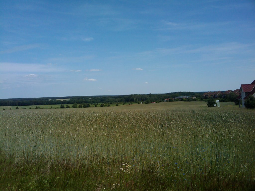 View over the belziger bach valley by wam kat