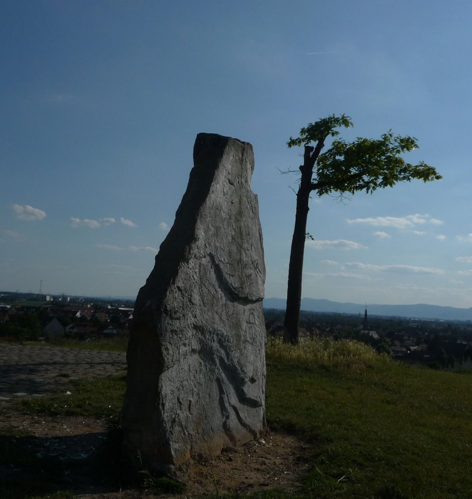 Monte Scherbelino by Immanuel Giel