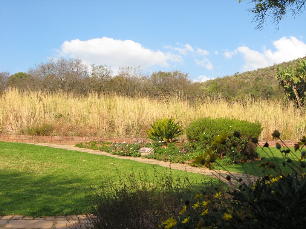 Walter Sisulu Gardens - Open Space by d'Urban