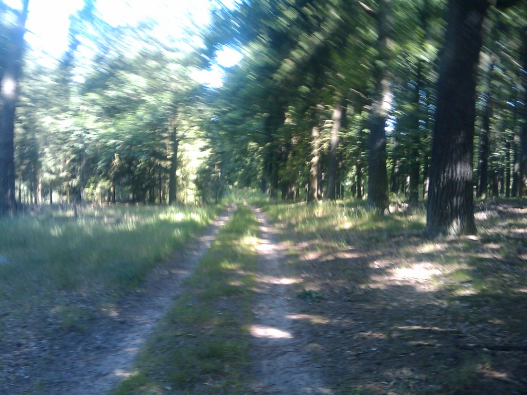 Road from Weitzgrund to Lübnitz by Wam Kat